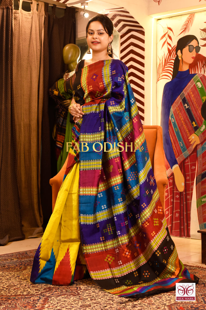 BANI THANI LUXE BERHAMPURI DOUBLE AANCHAL PURE SILK PATTA SAREE