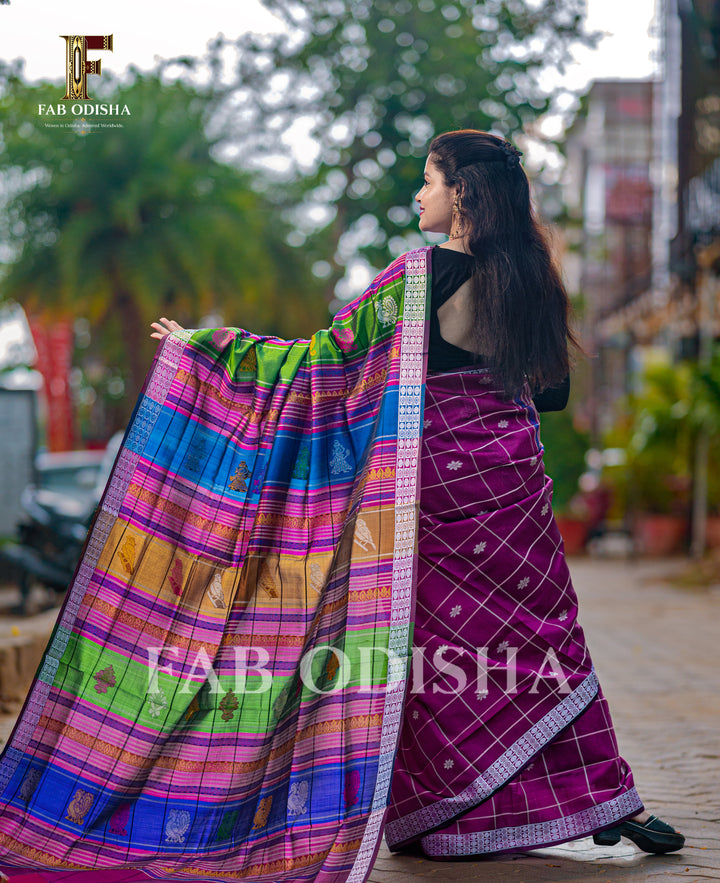 VASUNDHARA RANGA BERHAMPURI HANDLOOM DOUBLE AANCHAL PURE SILK PATTA SAREE
