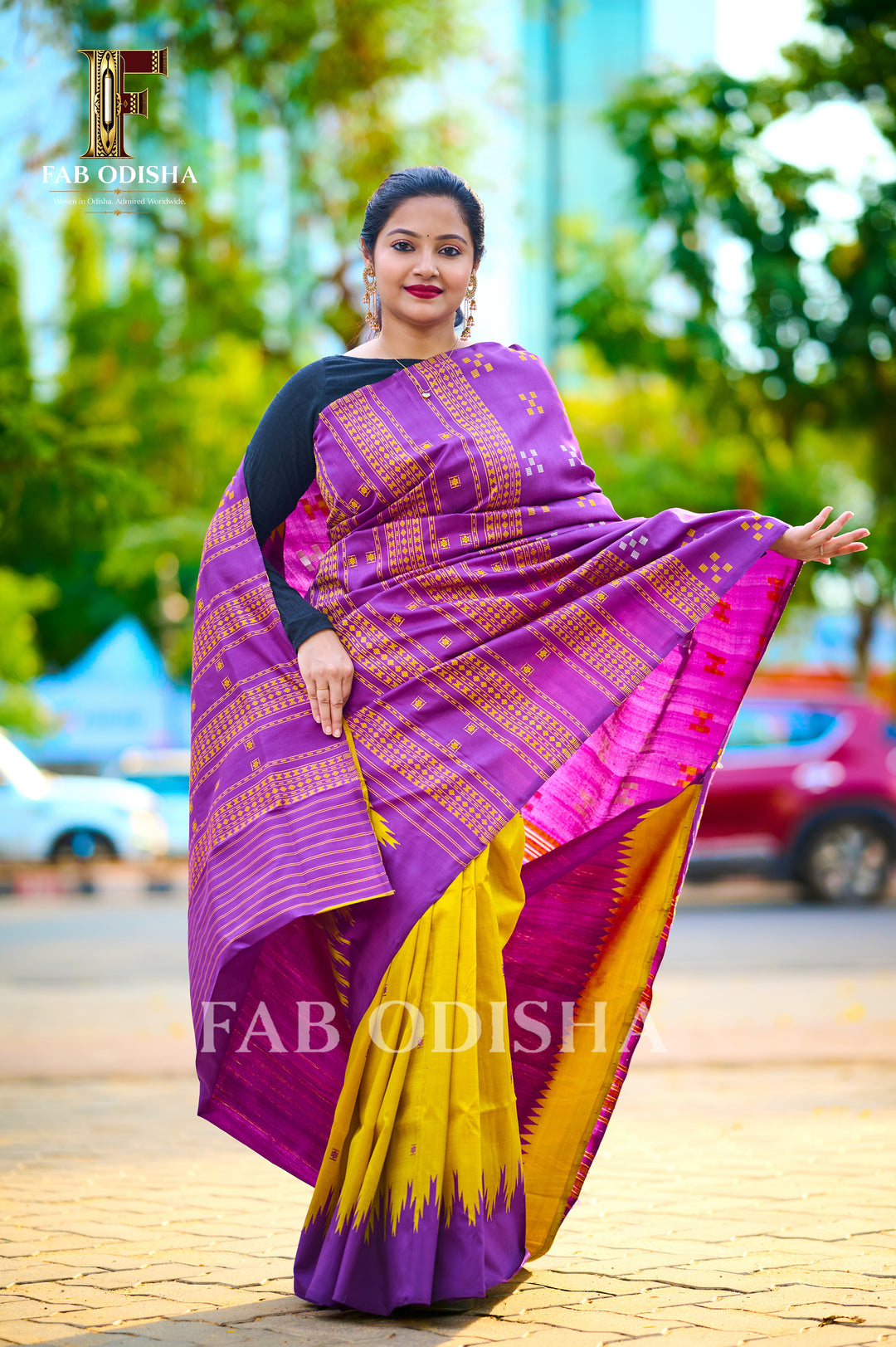 RUKMINI VASTRA SELECTIONS BERHAMPURI DOUBLE AANCHAL PURE SILK PATTA SAREE