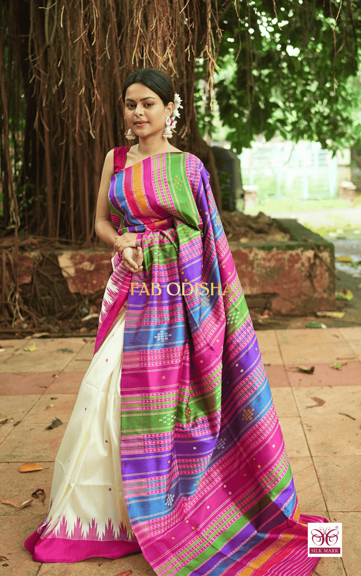 MEGHA KADAMBA MULTI COLOURED MOTIF BERHAMPURI DOUBLE ANCHAL SILK SAREE