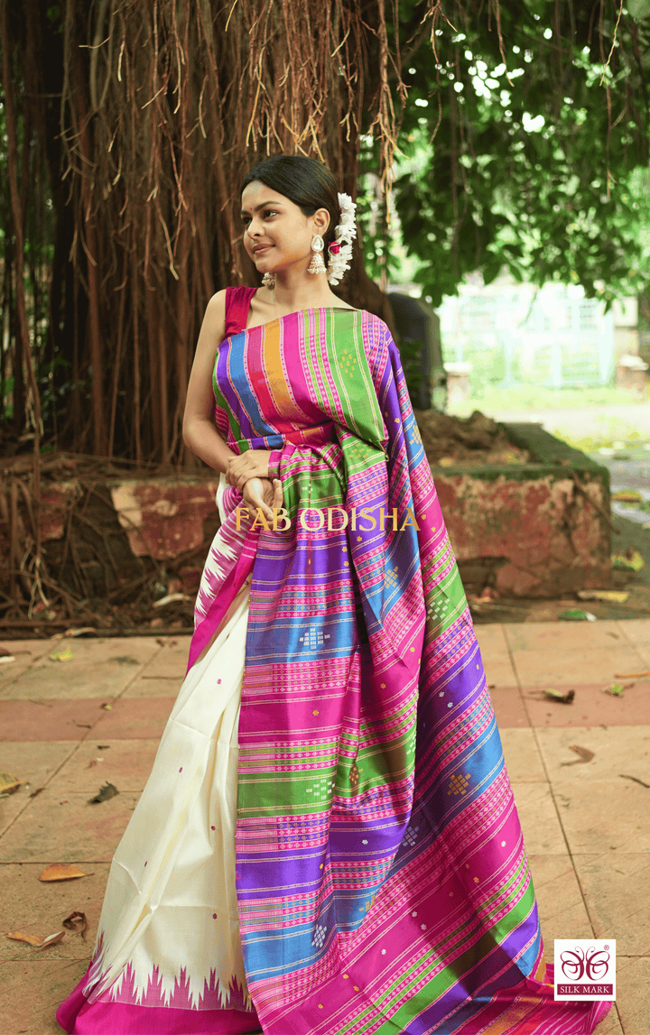 MEGHA KADAMBA MULTI COLOURED MOTIF BERHAMPURI DOUBLE ANCHAL SILK SAREE