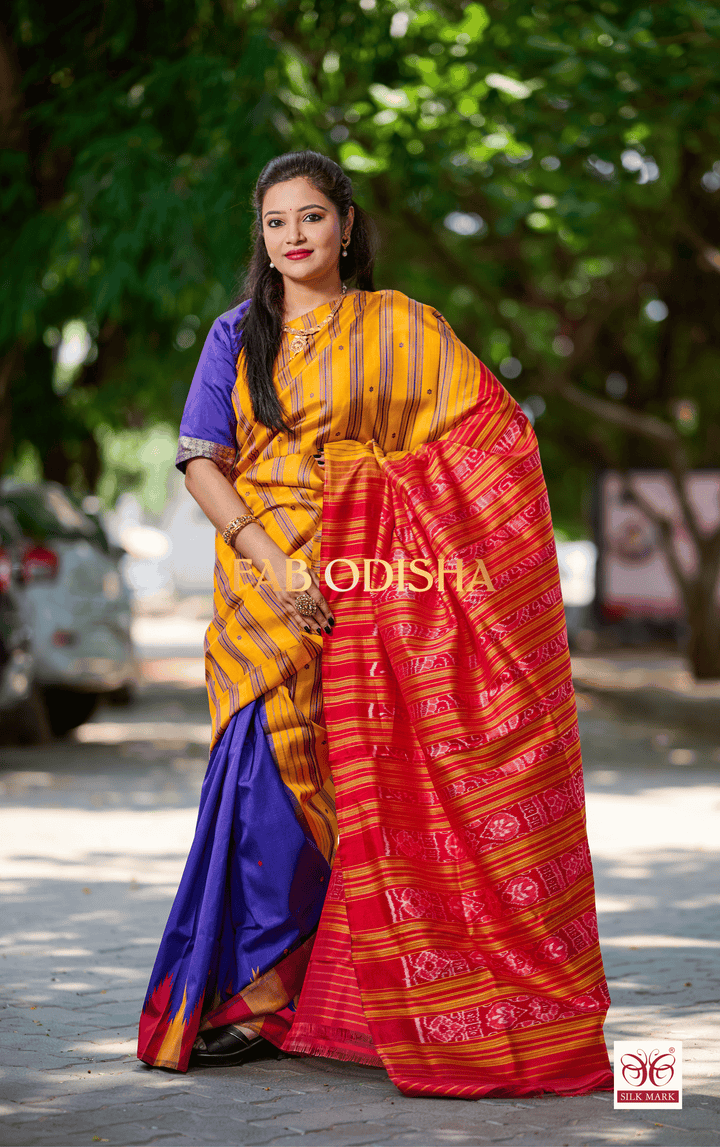 ANVAYA SUNDARAM EXCLUSIVE BERHAMPURI DOUBLE AANCHAL PURE SILK PATTA SAREE