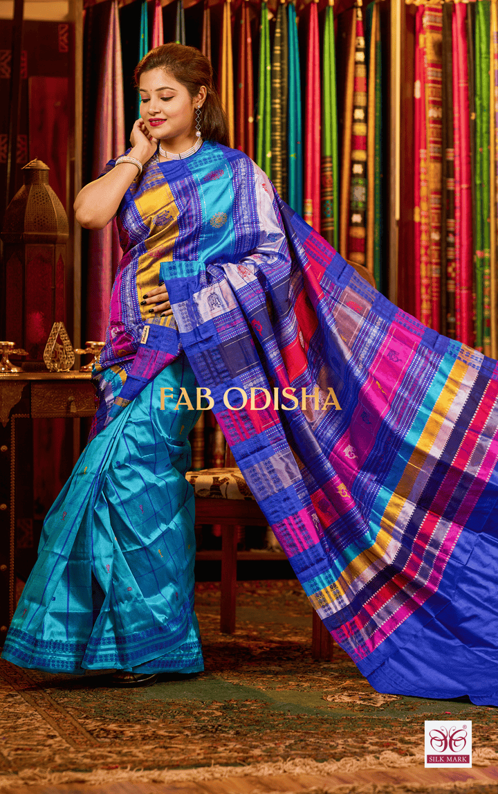 NEEL BAGH BERHAMPURI DOUBLE AANCHAL PURE SILK PATTA SAREE
