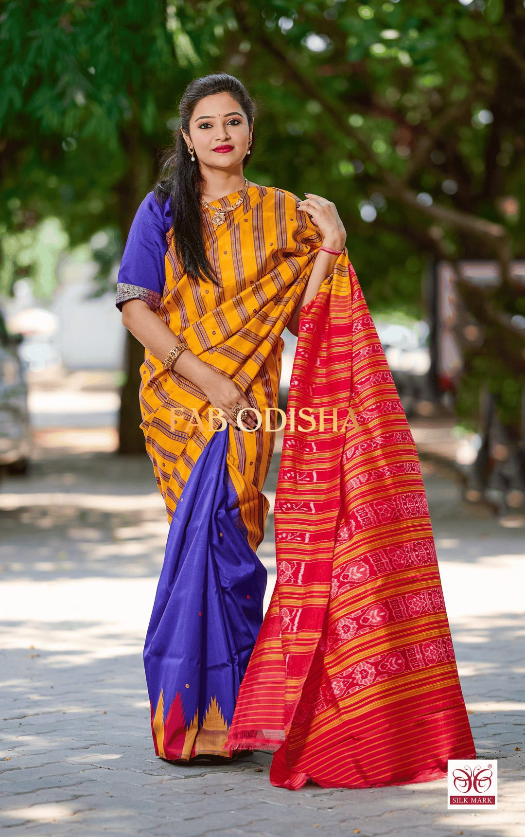 ANVAYA SUNDARAM EXCLUSIVE BERHAMPURI DOUBLE AANCHAL PURE SILK PATTA SAREE