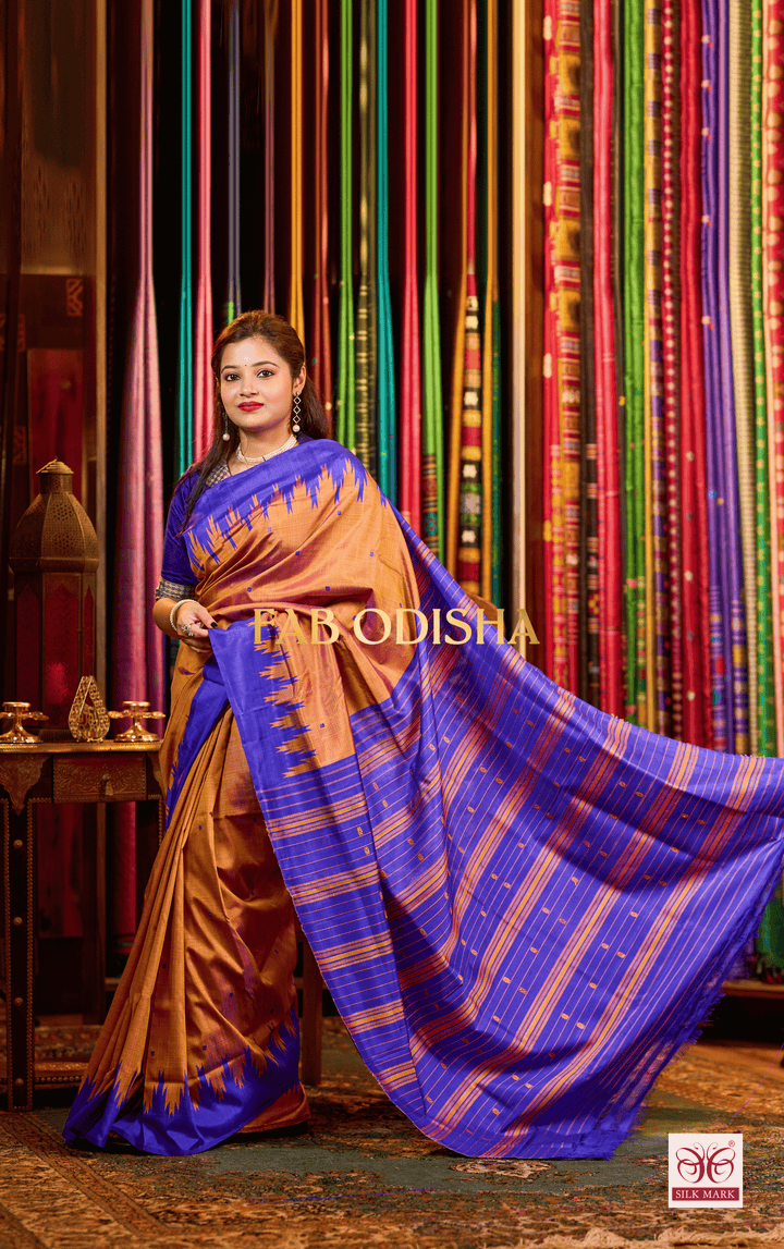 TANVAYA DOUBLE AANCHAL PURE SILK PATTA SAREE