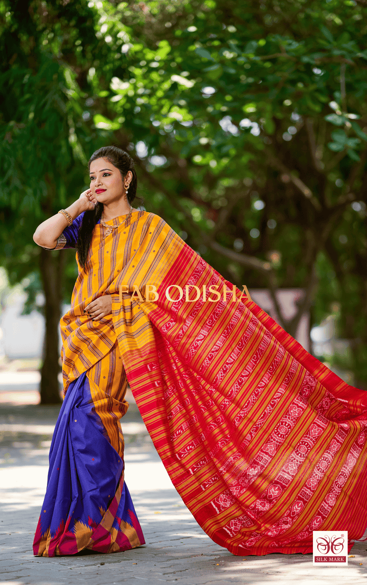 ANVAYA SUNDARAM EXCLUSIVE BERHAMPURI DOUBLE AANCHAL PURE SILK PATTA SAREE