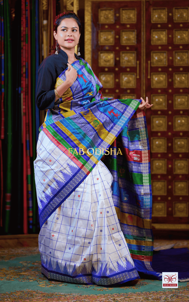 HRIDAYA MANOHARI BERHAMPURI DOUBLE AANCHAL PURE SILK PATTA SAREE