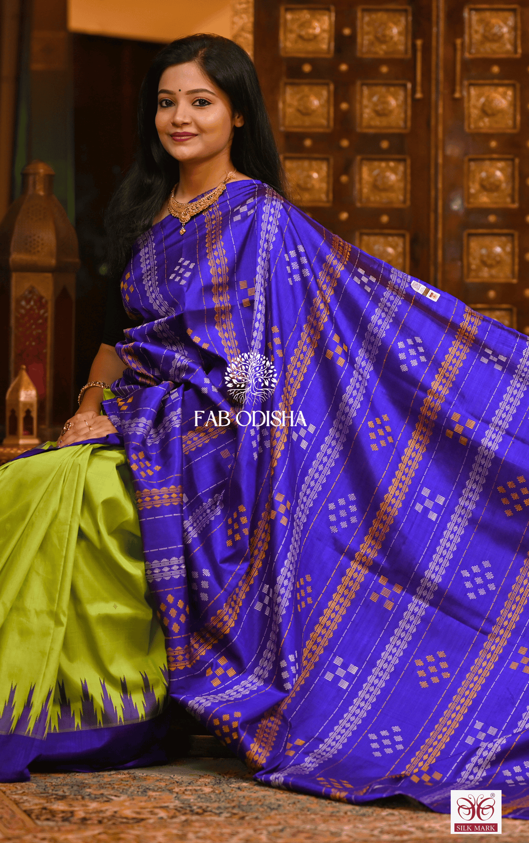 SHOBHANVITA BERHAMPURI DOUBLE AANCHAL PURE SILK PATTA SAREE