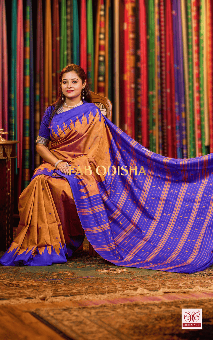 TANVAYA DOUBLE AANCHAL PURE SILK PATTA SAREE