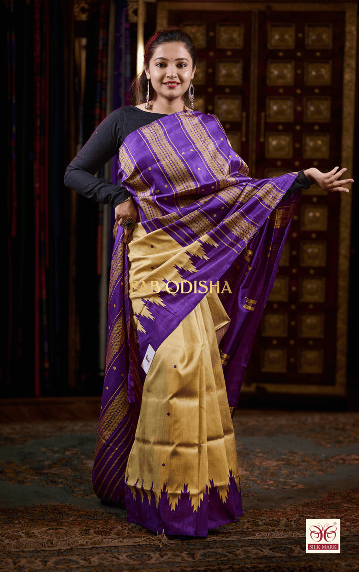 RACHANA SUTRA SELECTIONS BERHAMPURI DOUBLE AANCHAL PURE SILK PATTA SAREE
