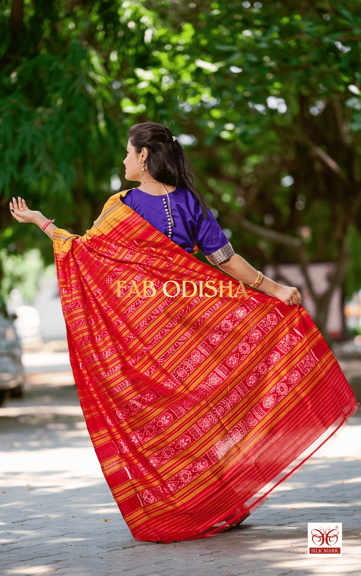 ANVAYA SUNDARAM EXCLUSIVE BERHAMPURI DOUBLE AANCHAL PURE SILK PATTA SAREE