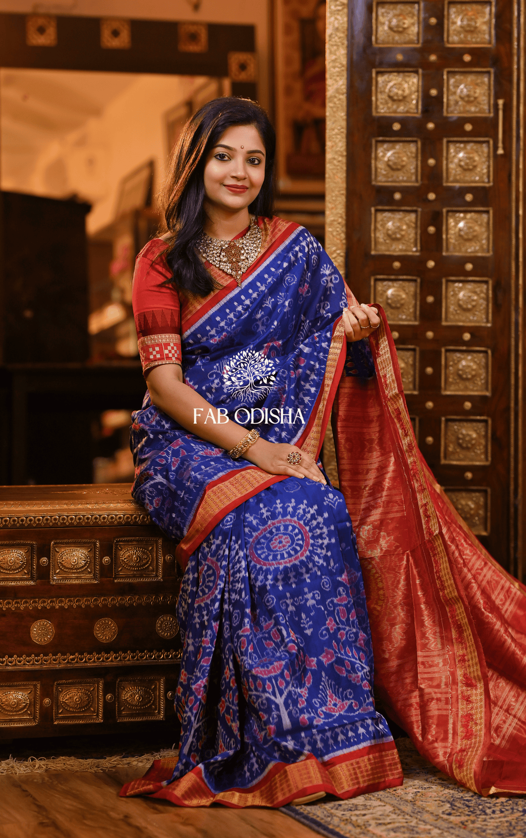 DIVYANSHI AKASHA SAMBALPURI HANDLOOM TISSUE AANCHAL PURE SILK SAREE
