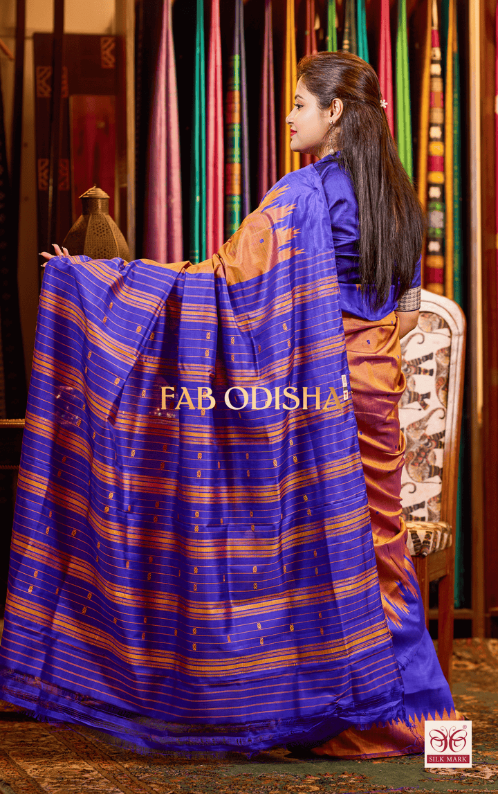 TANVAYA DOUBLE AANCHAL PURE SILK PATTA SAREE