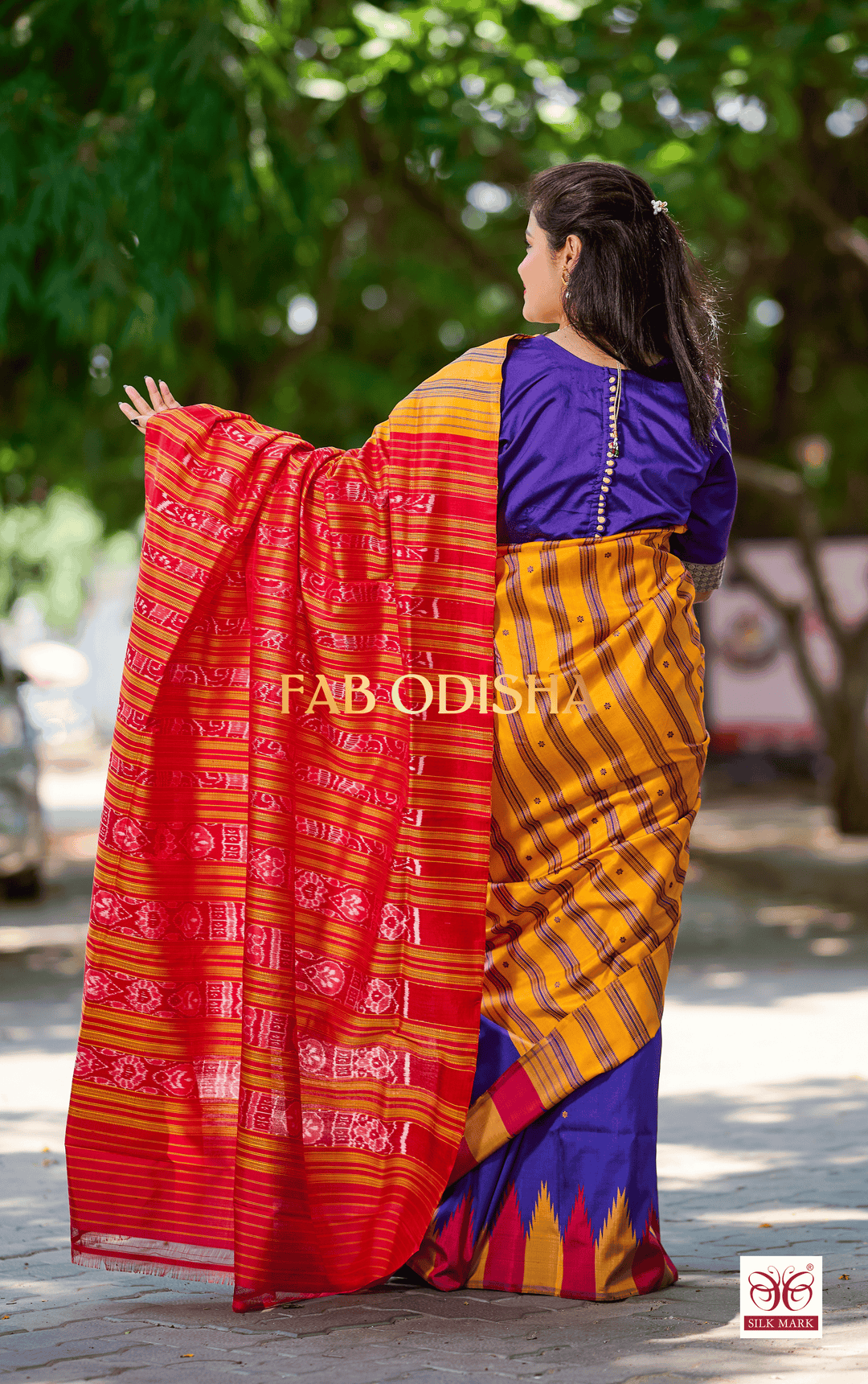 ANVAYA SUNDARAM EXCLUSIVE BERHAMPURI DOUBLE AANCHAL PURE SILK PATTA SAREE