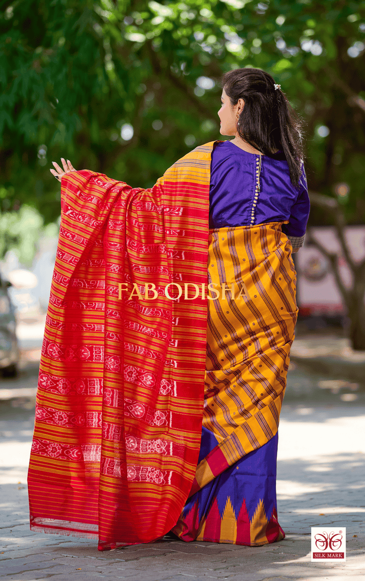 ANVAYA SUNDARAM EXCLUSIVE BERHAMPURI DOUBLE AANCHAL PURE SILK PATTA SAREE