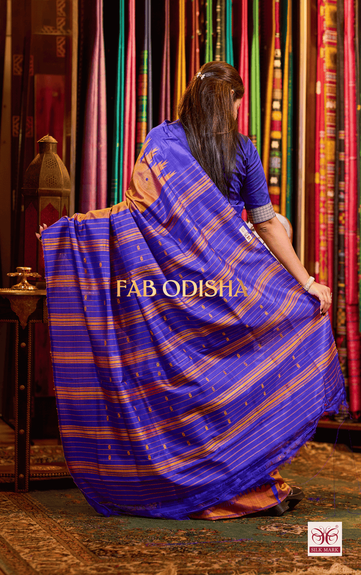 TANVAYA DOUBLE AANCHAL PURE SILK PATTA SAREE