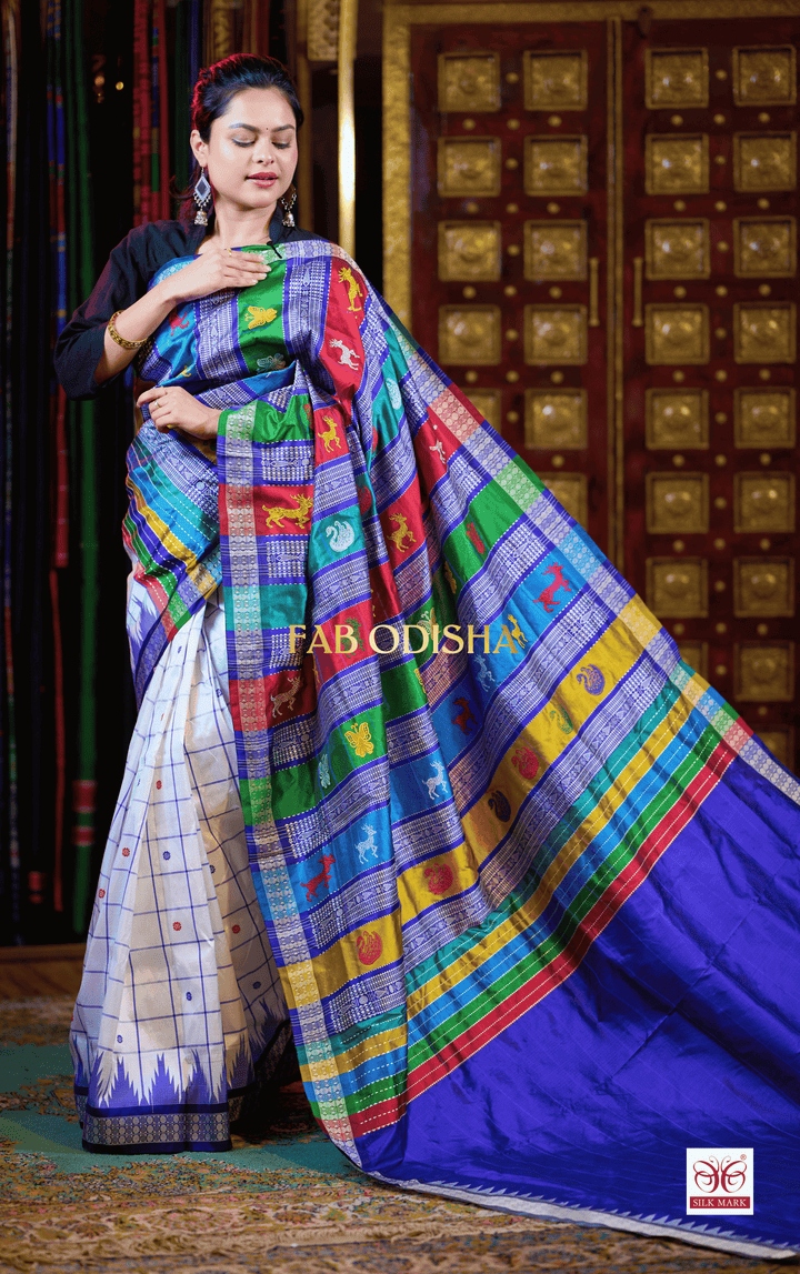HRIDAYA MANOHARI BERHAMPURI DOUBLE AANCHAL PURE SILK PATTA SAREE